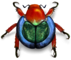 Wikimedia beetle.png